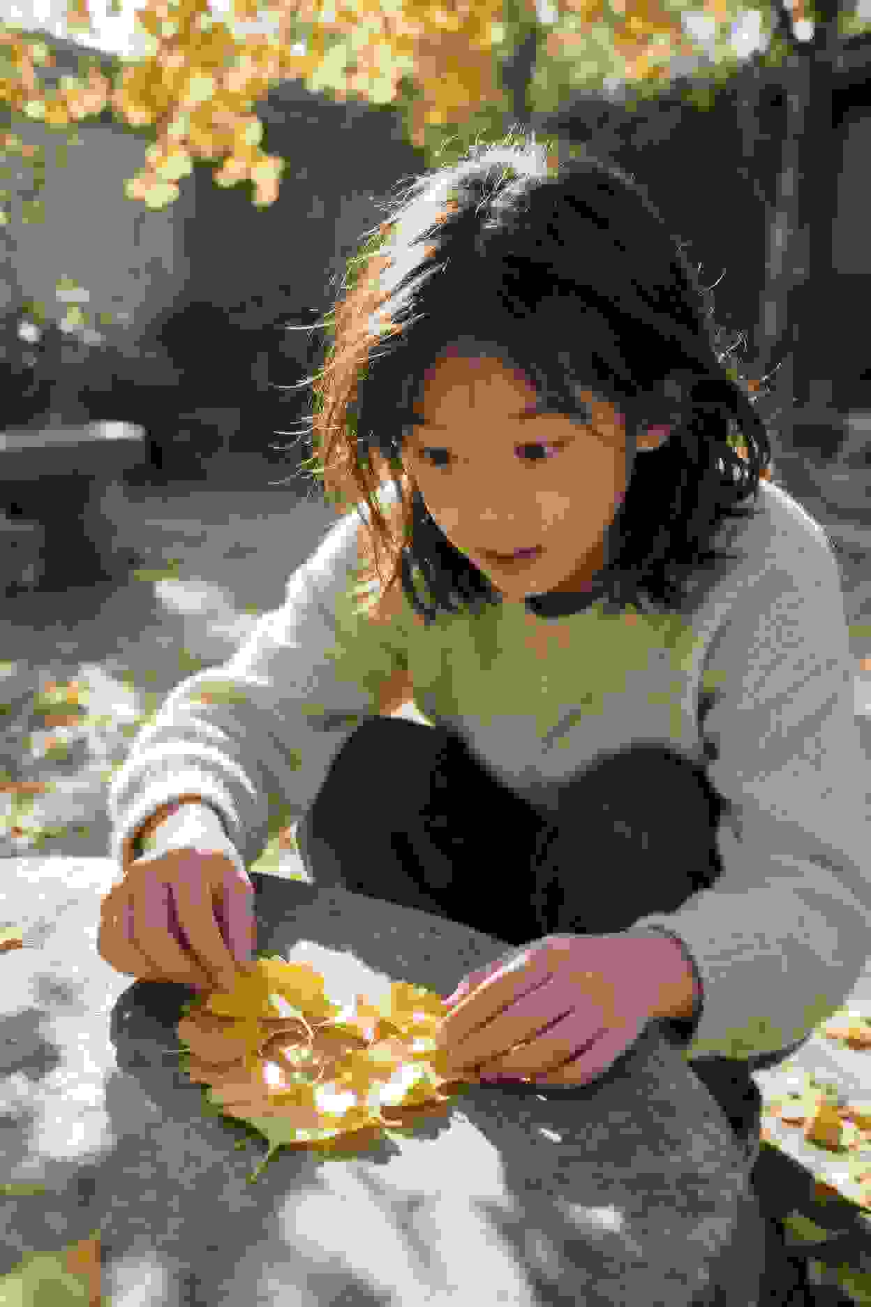 帝后风月